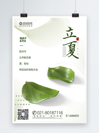 中国工笔画荷花24节气立夏海报模板