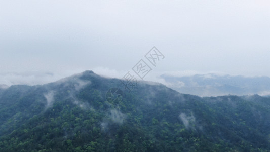 俯视天空大气磅礴大山森林云雾GIF高清图片