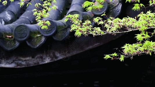 枫木家具江南的春天GIF高清图片