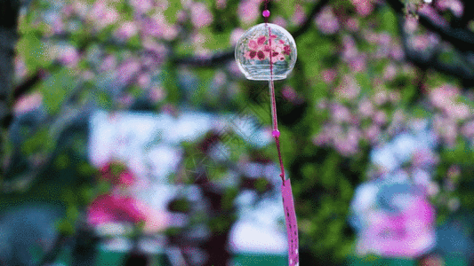 樱花风铃GIF图片