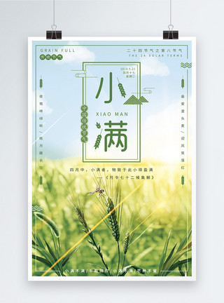 五彩稻田绿色清新二十四节气之小满海报模板