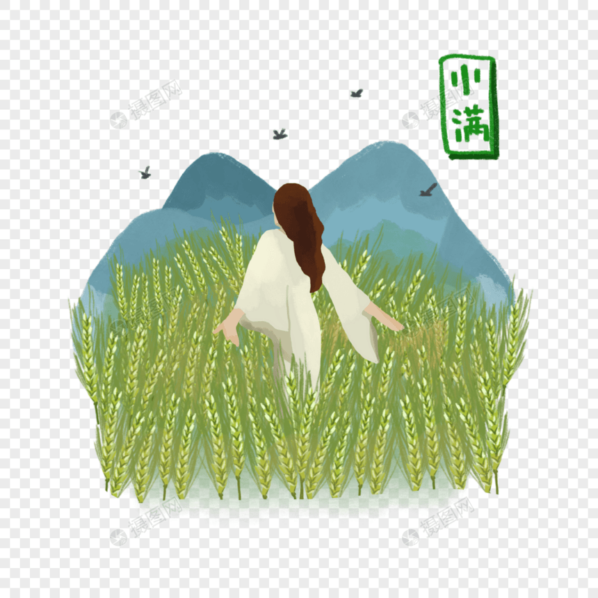 女生穿白色长裙走过稻田大自然清新节气小满夏日元素图片