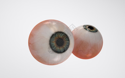 眼睛解剖展示人体器官眼球设计图片