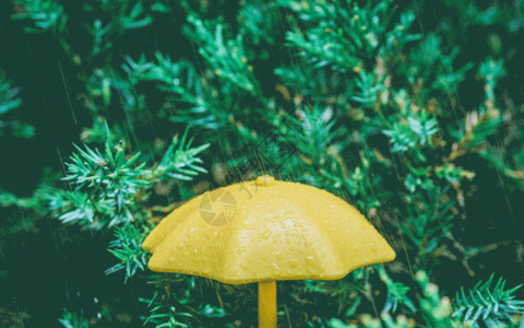 雨天雨伞下雨特写gif动图高清图片