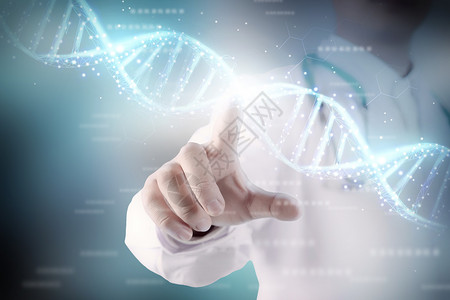 大码衣服DNA基因设计图片