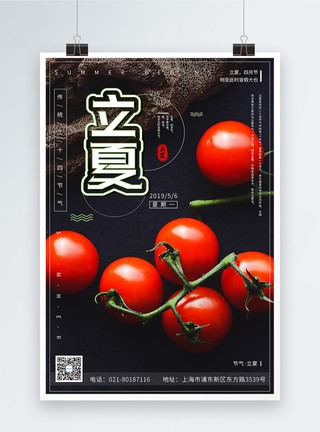 千禧小番茄清新简约水果立夏节气海报模板