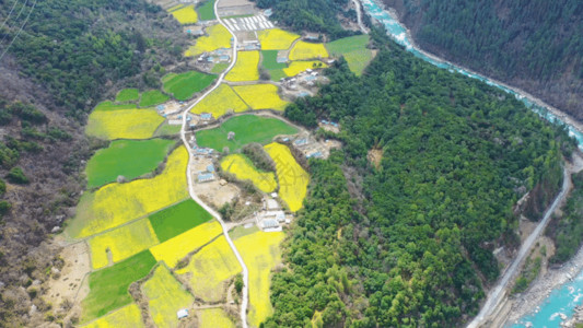 龙潭大峡谷风景世界第三帕隆藏布大峡谷GIF高清图片