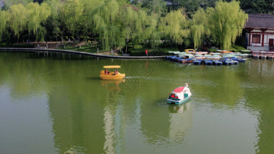 滨水绿化湖面小船GIF高清图片