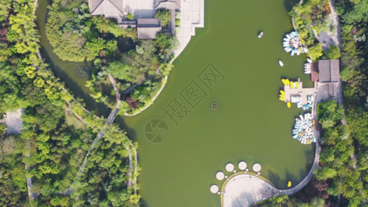 迪拜水上乐园城市壮观景色GIF高清图片