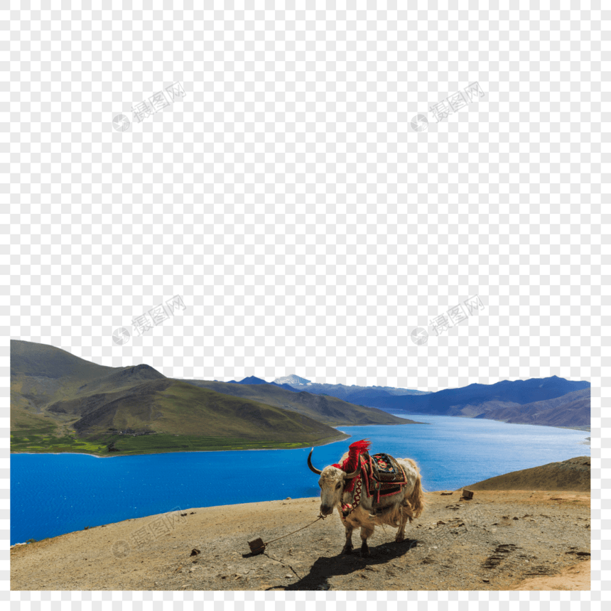 西藏羊左雍措湖美丽风光图片