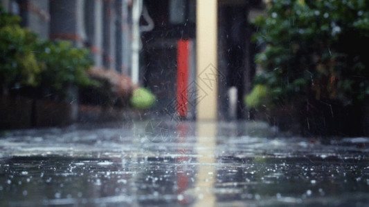 街道秋景雨滴打在地上溅出水花GIF高清图片