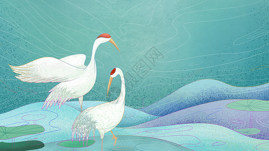 湿地水鸟插画仙鹤设计图片