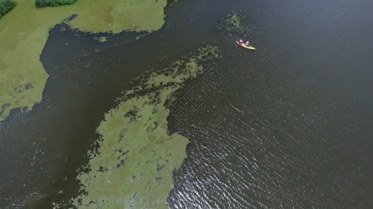 南沙湿地公园湿地溪流GIF高清图片