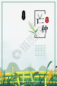 中国节气芒种二十四节气之芒种海报GIF高清图片