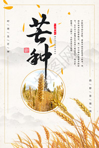中国节气芒种二十四节气之芒种节日海报GIF高清图片