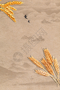 一堆小麦清新麦穗设计图片