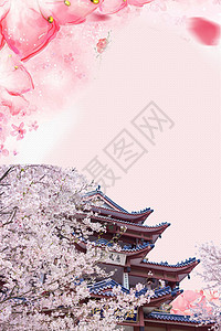 樱花树下的猫咪春天樱花设计图片