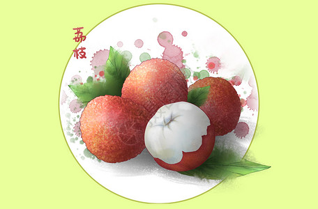 水果插画荔枝背景图片