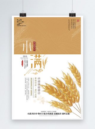 小麦苗二十四节气小满海报模板
