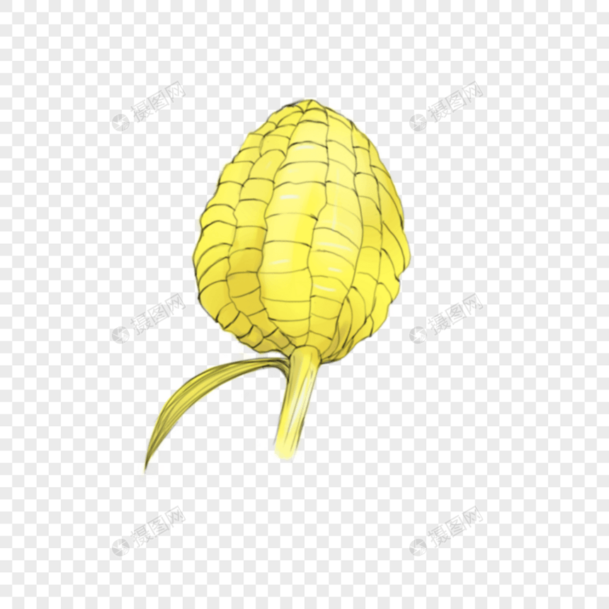 黄色卡通玉米图片
