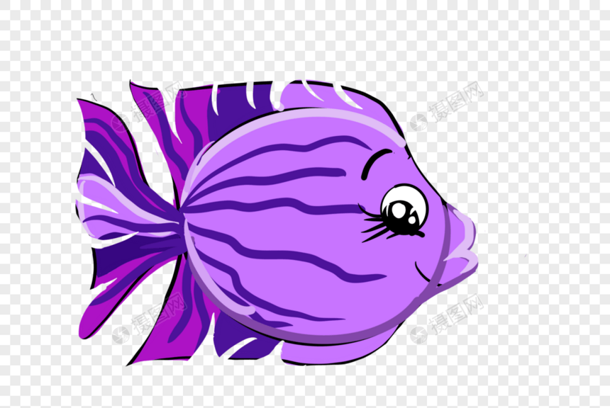 紫色花纹鱼图片