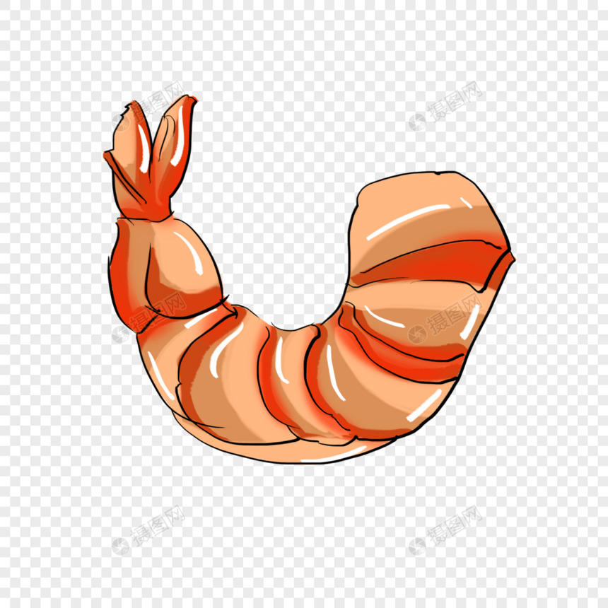 手绘食物虾png免抠素材图片