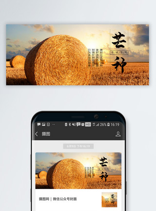 芒种麦子丰收芒种公众号封面配图模板