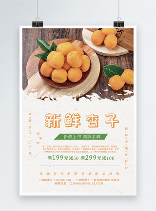 新鲜水果杏子海报模板