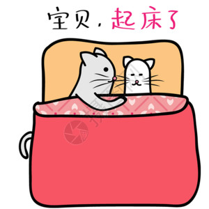 大眼萌猫萌猫起床gif高清图片