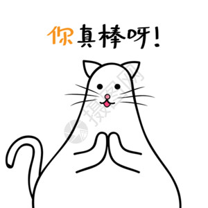 猫手你真棒鼓掌gif高清图片