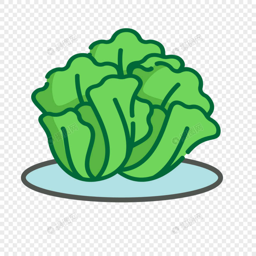 矢量蔬菜插画生菜图片