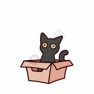 小黑喵从盒子里出来动态表情包图片