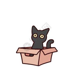 小黑喵从盒子里出来动态表情包高清图片