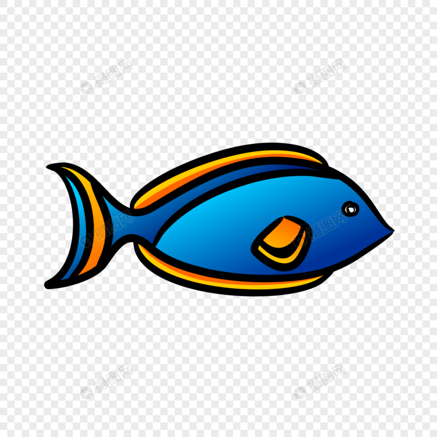 鱼图片