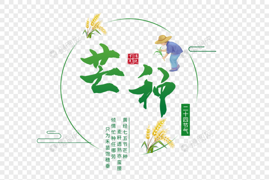 芒种图片