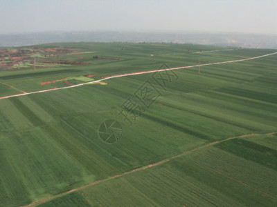 小麦苗麦田4K航拍GIF高清图片