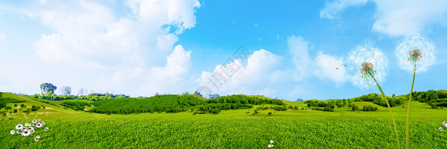 蓝色花丛草地天空背景设计图片