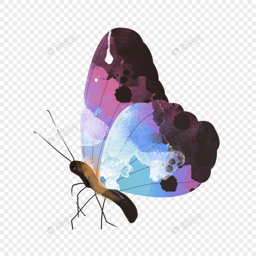 水彩动物蝴蝶可爱插画元素手绘图片