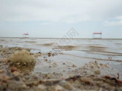 青岛海底隧道低视角湖边近景GIF高清图片