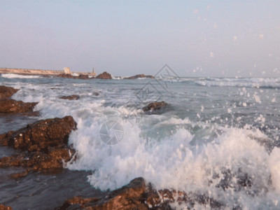 夕阳鸟大海浪花拍打礁石GIF高清图片