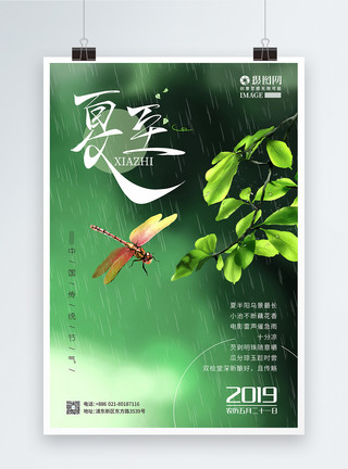 雨季插画绿色清新夏至24节气海报模板