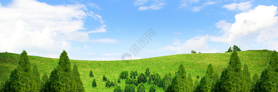 草地绿化背景图片