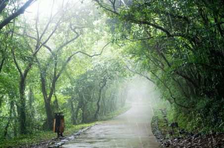 山树木雨后的大蜀山gif高清图片