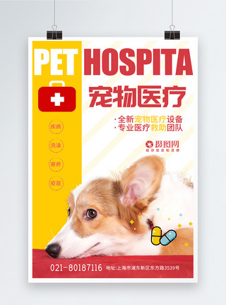 宠物治疗简约宠物医院医疗海报模板