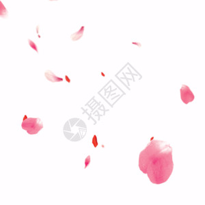 粉色液体漂浮花瓣gif高清图片