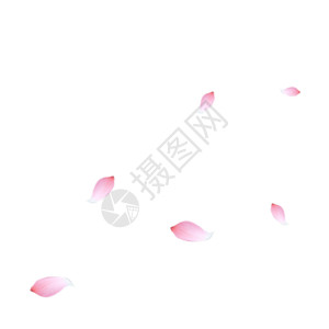 桃枝漂浮花瓣gif高清图片