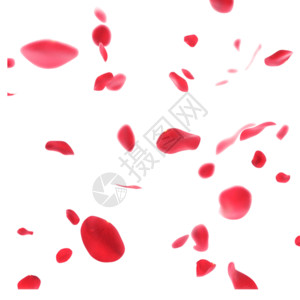 红色装饰边条红色玫瑰花瓣gif高清图片