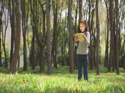 在学习的小朋友女生站在树林里看书GIF高清图片