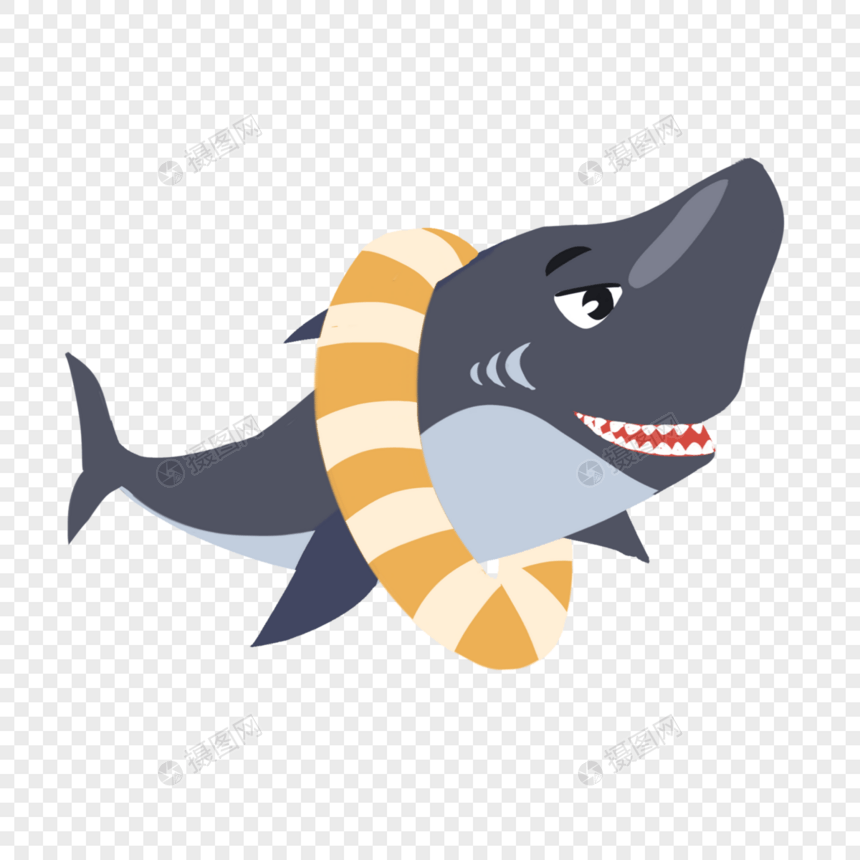 鲨鱼图片