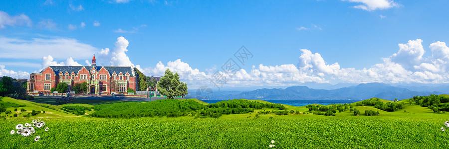 田大枣子骏枣草地背景设计图片